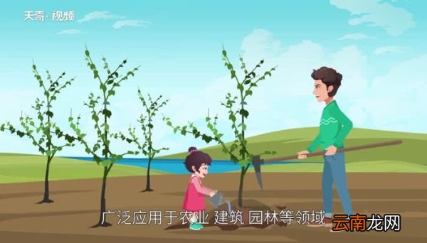 铁锹的意思 铁锹的意思是什么