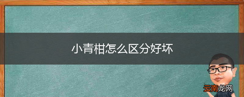 小青柑怎么区分好坏