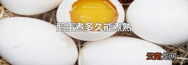 鹅蛋煮多久能煮熟