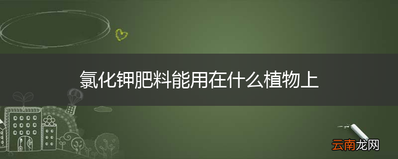 氯化钾肥料能用在什么植物上
