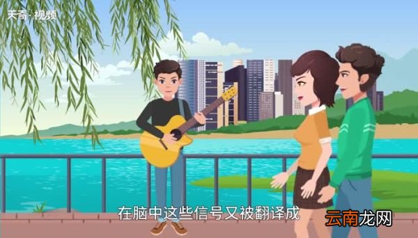 耳朵的意思,耳朵的解释