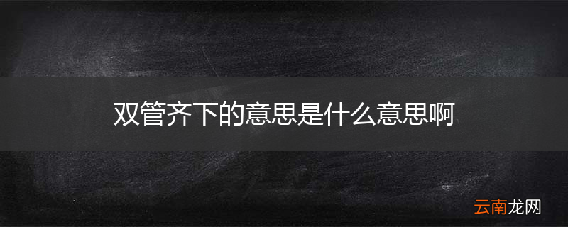 双管齐下的意思是什么意思啊