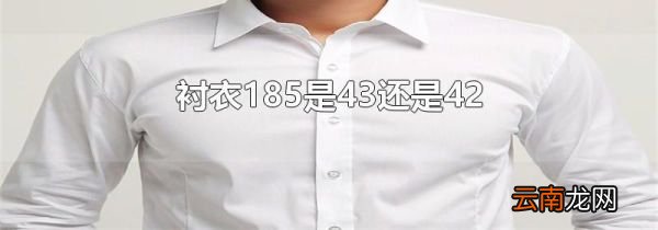 衬衣185是43还是42