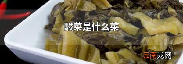 酸菜是什么菜