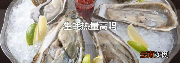 生蚝热量高吗