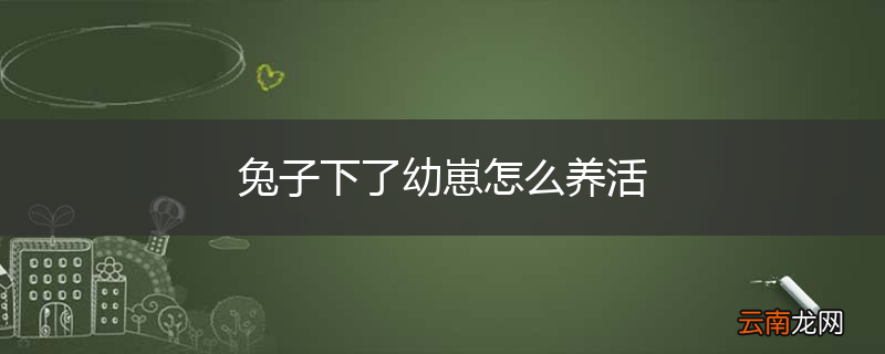兔子下了幼崽怎么养活