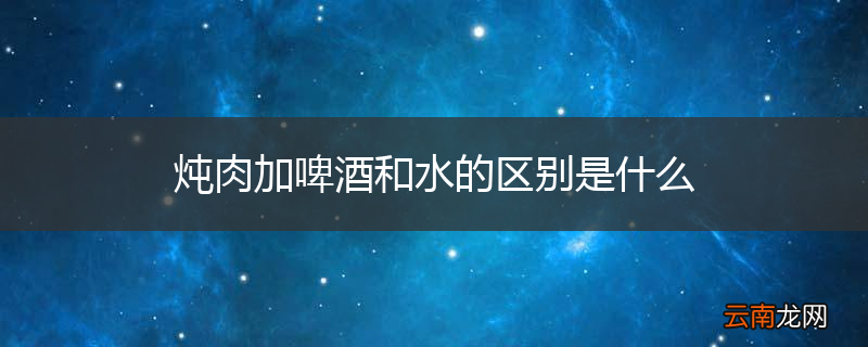 炖肉加啤酒和水的区别是什么