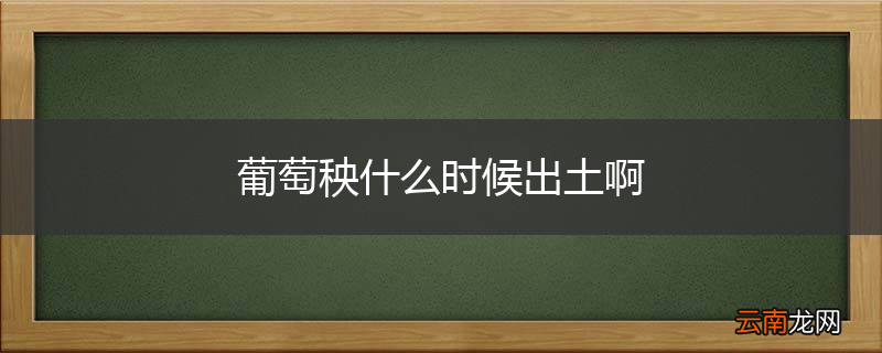 葡萄秧什么时候出土啊