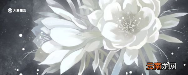 十月开什么花 十月开什么花最漂亮