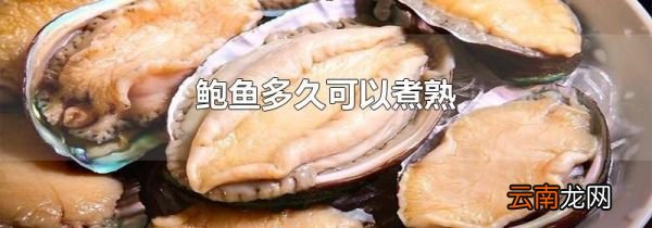 鲍鱼多久可以煮熟