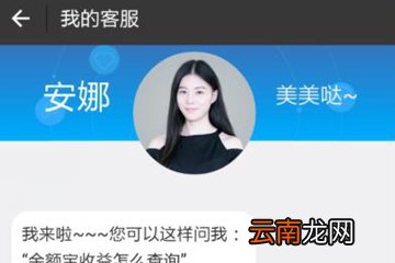 支付宝中将蚂蚁借呗借款记录删除具体操作步骤