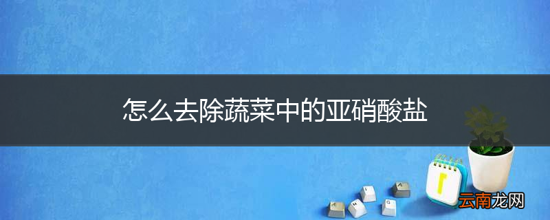 怎么去除蔬菜中的亚硝酸盐