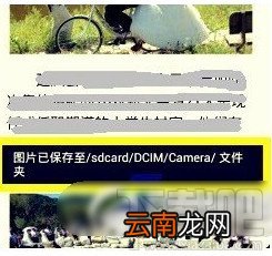微信聊天图片怎么保存 保存在哪个文件夹