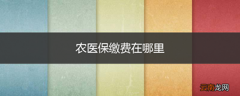 农医保缴费在哪里