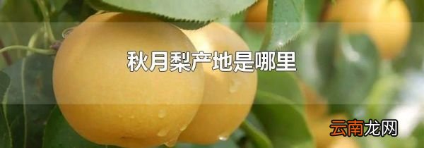 秋月梨产地是哪里