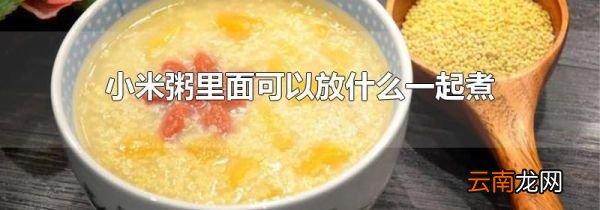 小米粥里面可以放什么一起煮