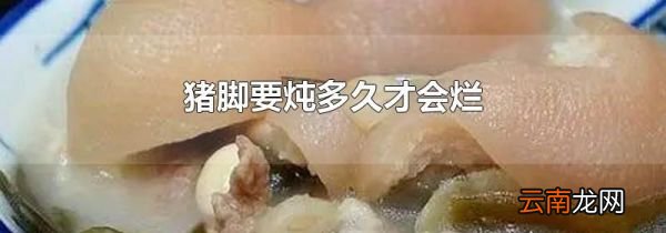 猪脚要炖多久才会烂