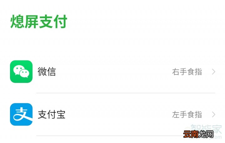 努比亚z20如何开启熄屏支付