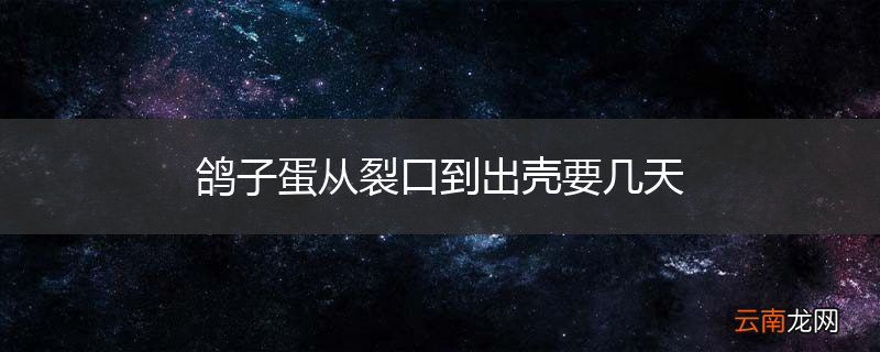 鸽子蛋从裂口到出壳要几天