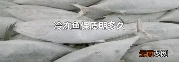 冷冻鱼保质期多久