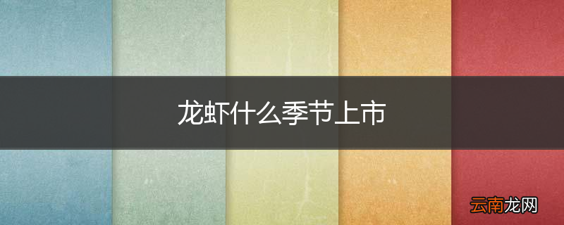 龙虾什么季节上市