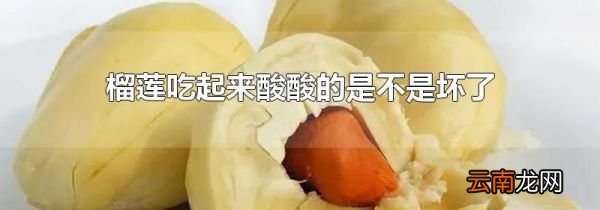 榴莲吃起来酸酸的是不是坏了