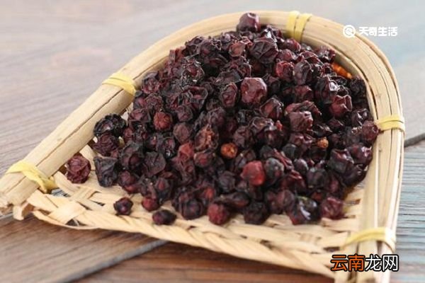 蒸五味子的功效与作用 蒸五味子主要有什么功效