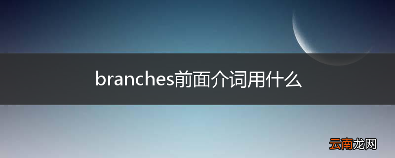 branches前面介词用什么