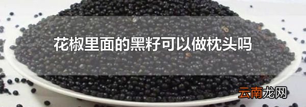 花椒里面的黑籽可以做枕头吗