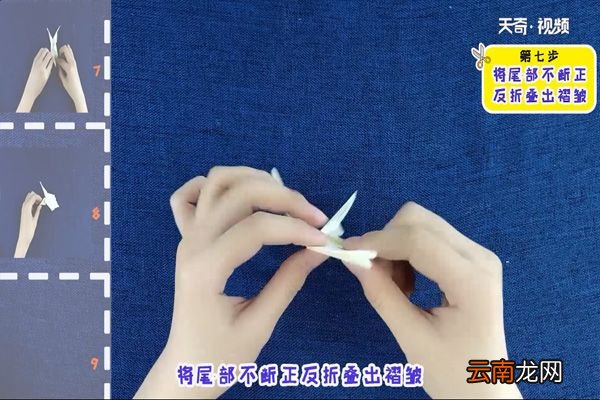 龙虾的折法