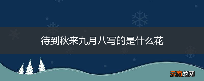 待到秋来九月八写的是什么花
