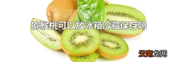 猕猴桃可以放冰箱冷藏保存吗