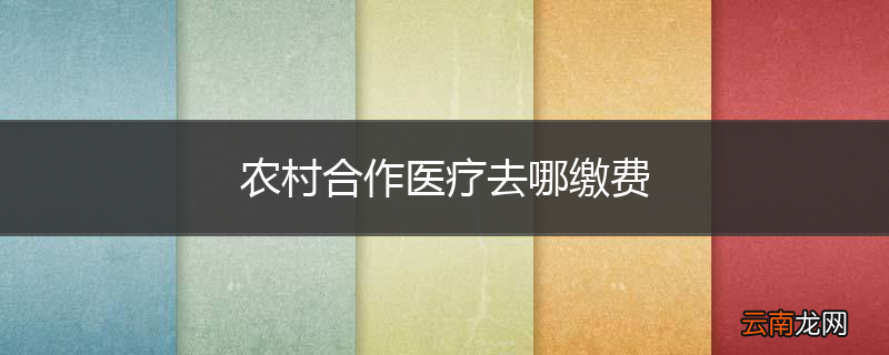 农村合作医疗去哪缴费