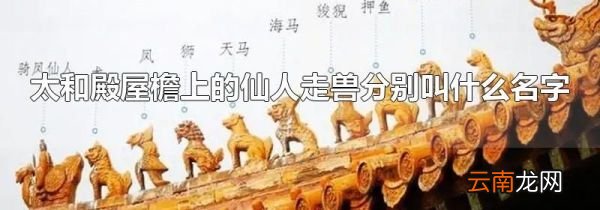 太和殿屋檐上的仙人走兽分别叫什么名字