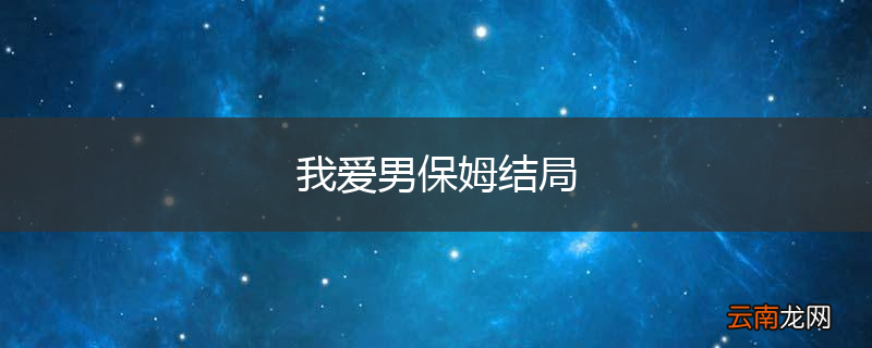 我爱男保姆结局