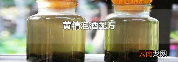 黄精泡酒配方