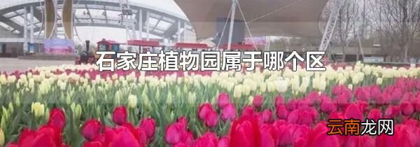 石家庄植物园属于哪个区