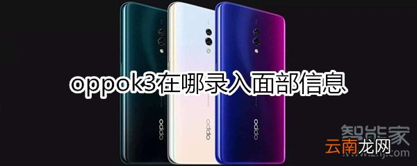oppok3在哪录入面部信息