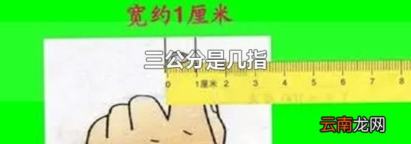 三公分是几指