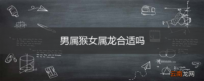 男属猴女属龙合适吗