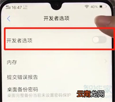 vivoy91怎么打开开发者选项