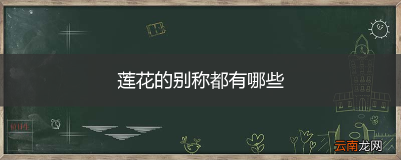 莲花的别称都有哪些