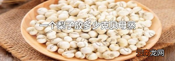 一个梨子放多少克贝母蒸