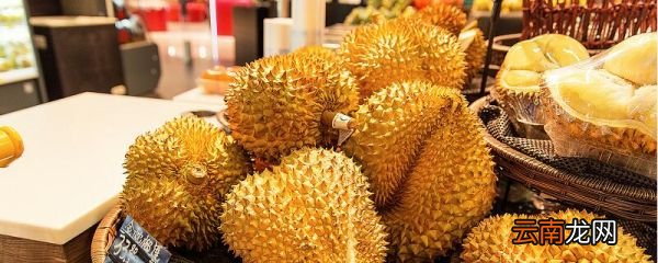 榴莲是热性还是凉性 榴莲属于寒性还是热性水果