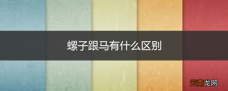 螺子跟马有什么区别