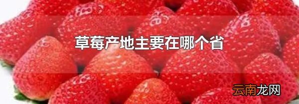 草莓产地主要在哪个省