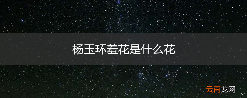 杨玉环羞花是什么花