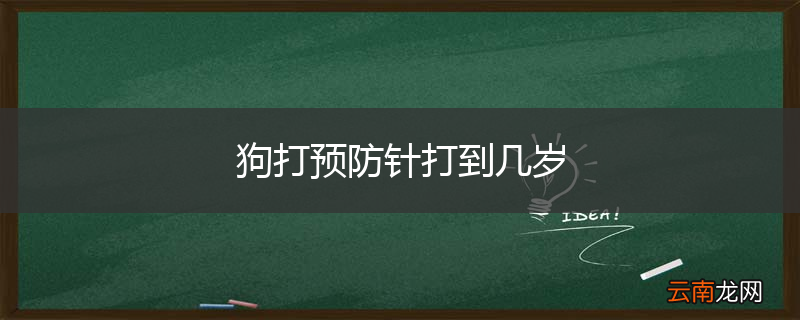 狗打预防针打到几岁