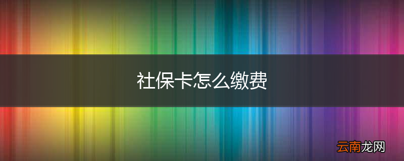 社保卡怎么缴费