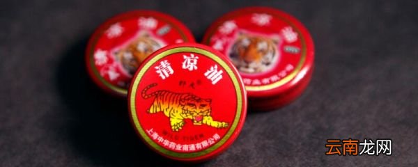 驱蚊蝇最有效的方法 什么方法驱蝇效果最好